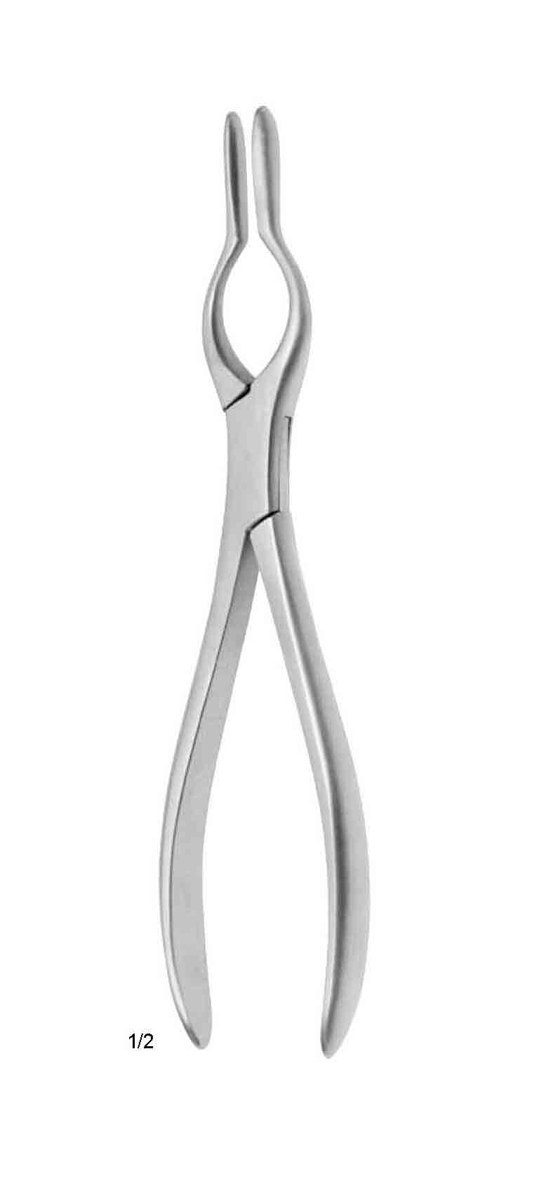 COTTLE BURUN FORSEPS  SAĞ 23CM